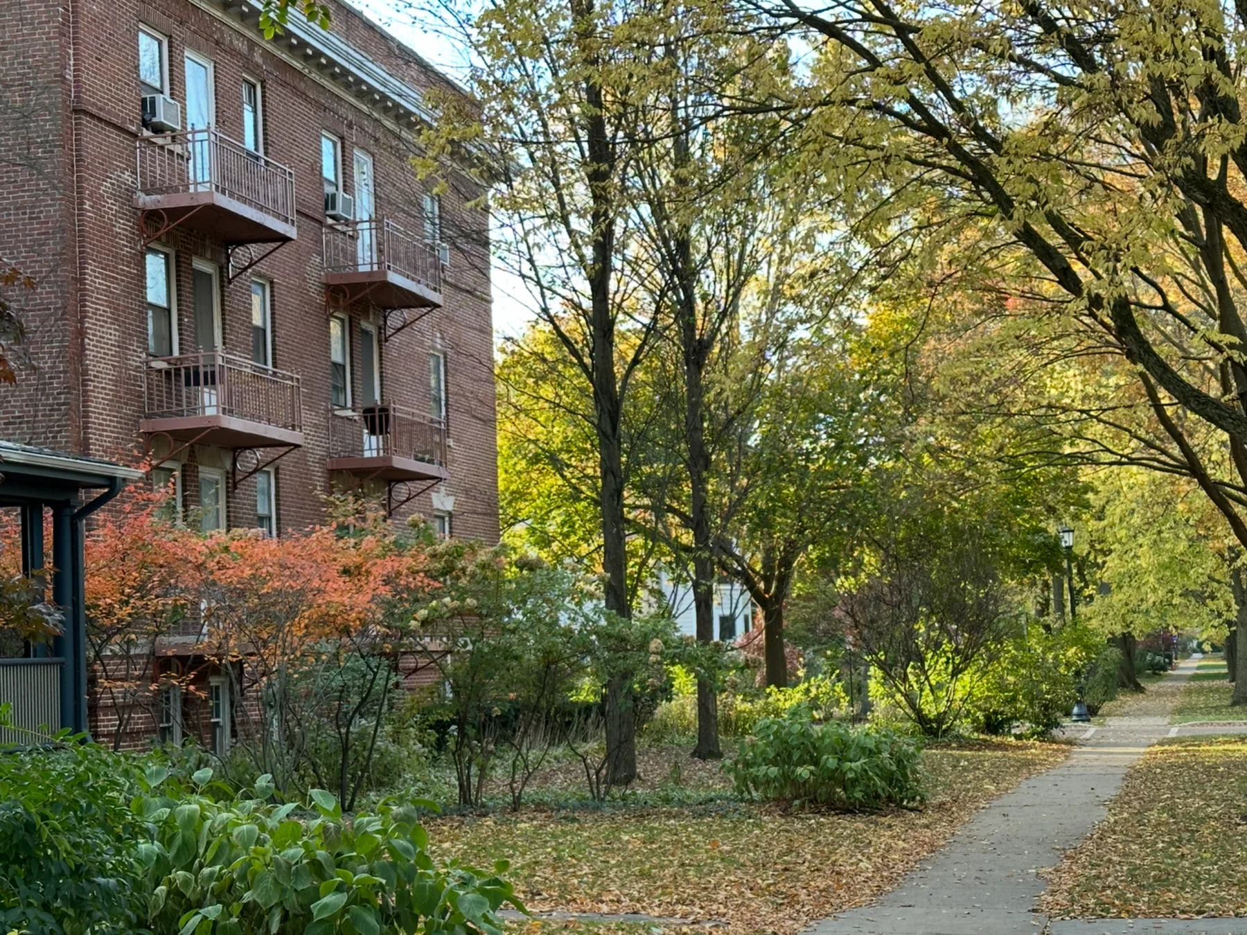 Library Place Apartments brick building beside a tree-lined sidewalk in autumn